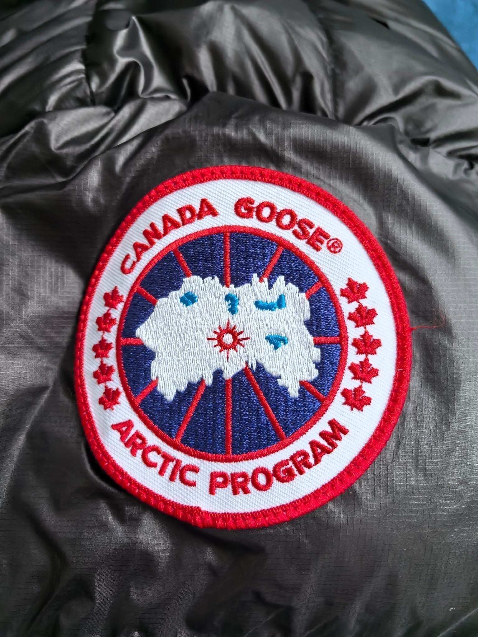 Glossy Down Jacket