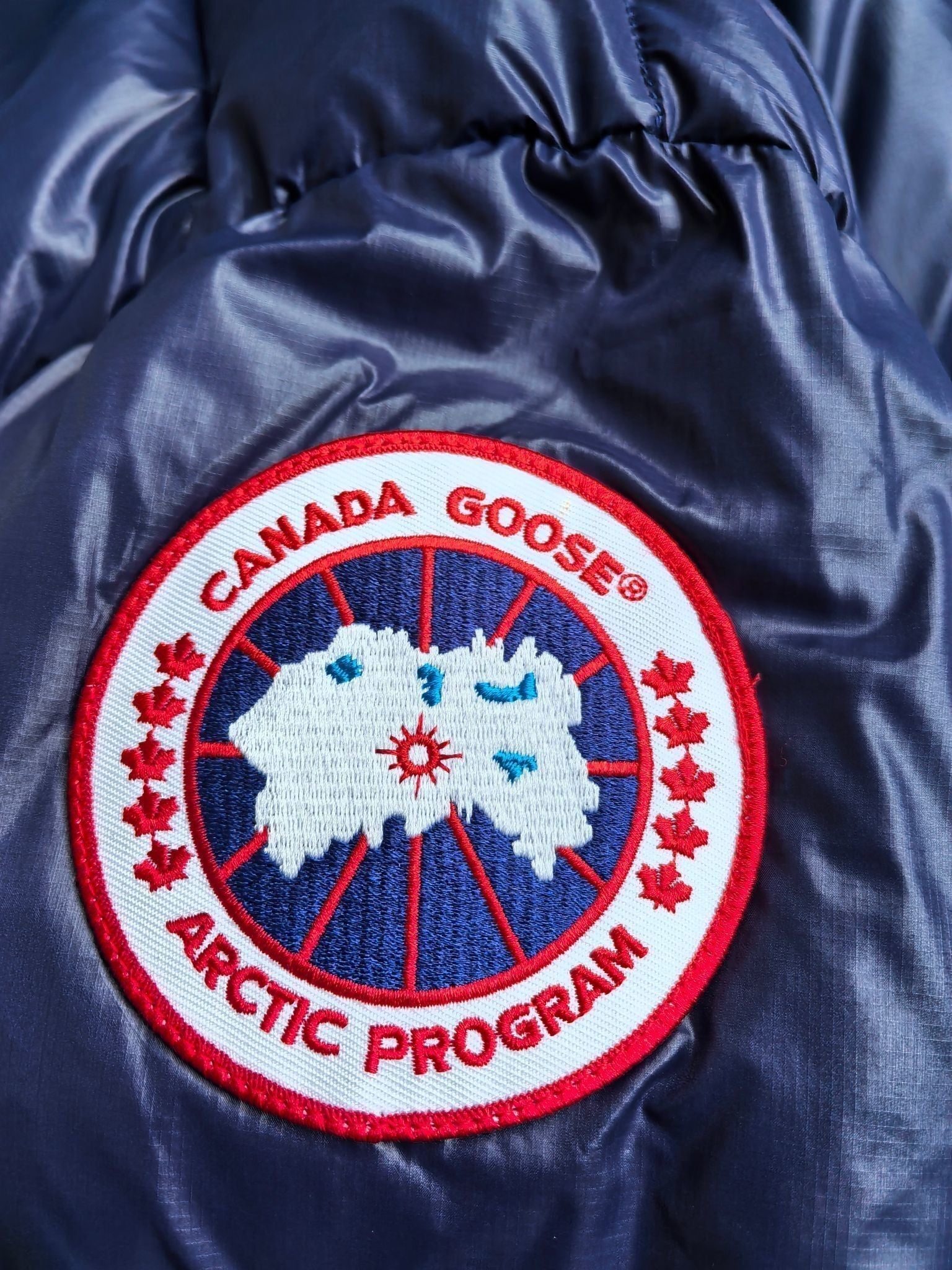 Glossy Down Jacket